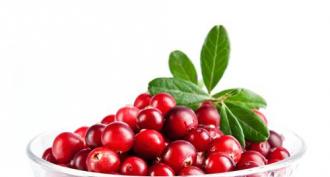 Chinese cranberry Chinese cranberry