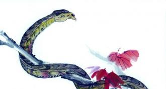 Сумісність півня та змії у любовних стосунках та шлюбі