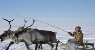 What Chukchi are actually Chukchi where do they live and what they do